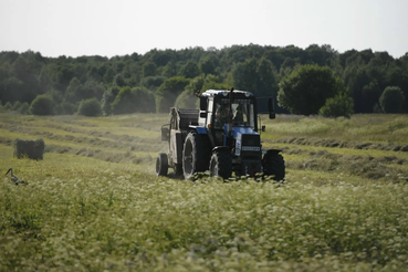 В Ленинградской области стартовал первый прием заявок на фермерский грант для участников СВО