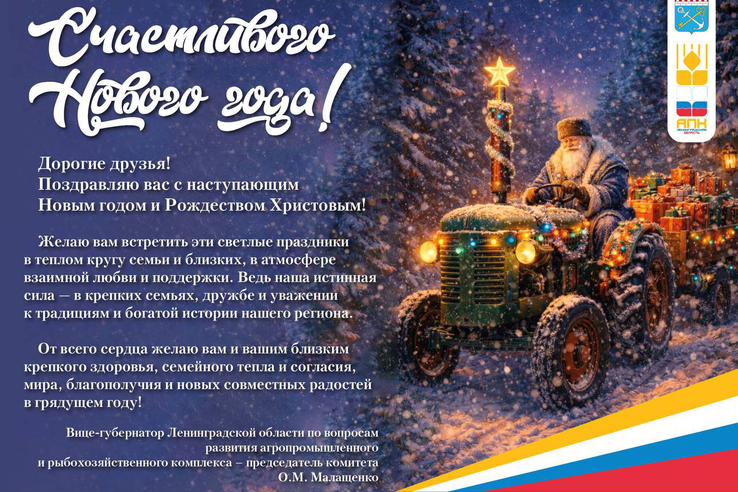 Счастливого Нового года!