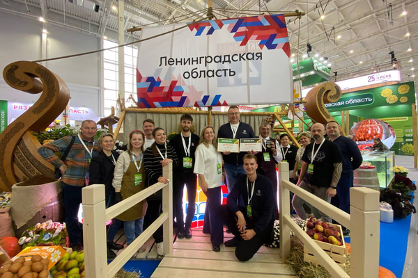 Гран-при и золотую медаль за вклад в развитие выставки «Золотая осень» 2025 года получила Ленинградская область