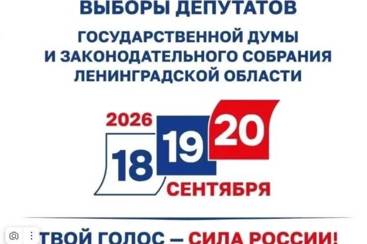Выборы в Ленобласти: голосуем 18, 19 и 20 сентября