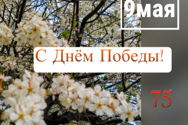 С Днём Победы, 