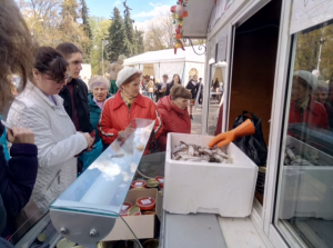 Выставка-ярмарка в парке Сокольники (13 мая 2017 года)