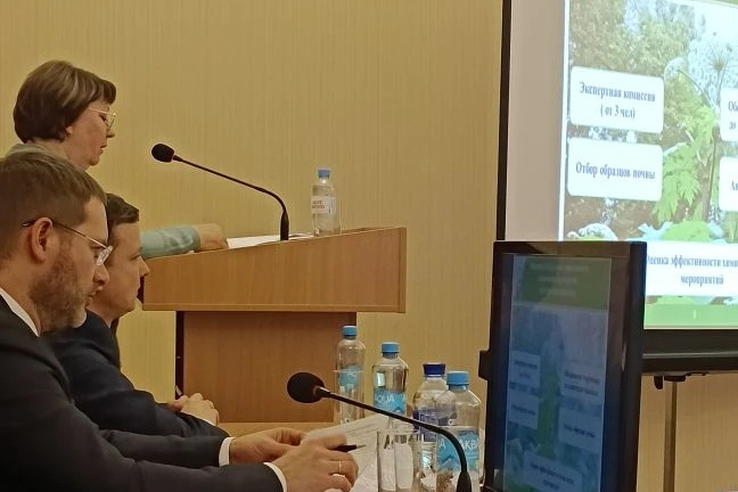 В комитете по АПК Ленобласти подвели итоги борьбы с борщевиком в 2025 году