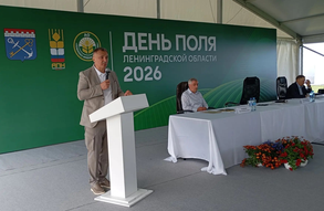 День поля-2026