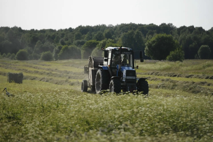 В Ленинградской области стартовал первый прием заявок на фермерский грант для участников СВО
