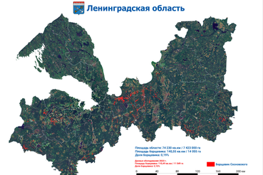 Ленобласть привлекает космос для борьбы с борщевиком