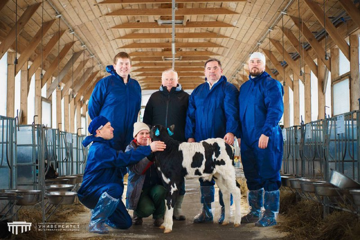 Ленобласть развивает племенное животноводство с помощью передовых технологий