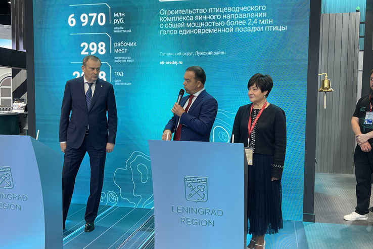 Ленобласть выходит на производство 5 млрд штук яиц в год