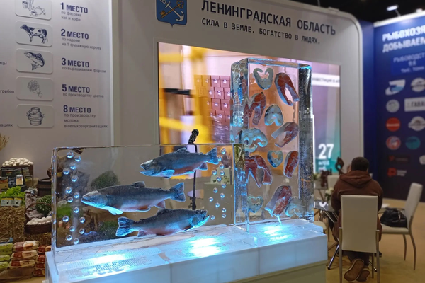 Ленобласть участвует в работе IX Международного рыбопромышленного форума