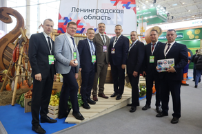 Выставка «Золотая осень -2025»
