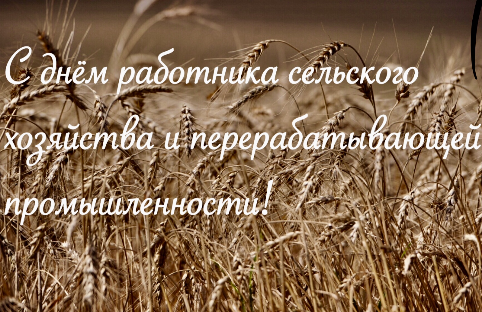 С Днем Работника Сельского Хозяйства Смешные Картинки